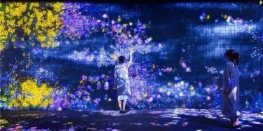 teamLab——風(fēng)靡全球的沉浸式網(wǎng)紅展項(xiàng)體驗(yàn)！