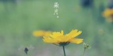 展覽設(shè)計(jì)公司與您共享：七月份國內(nèi)重要展會時(shí)間排期表